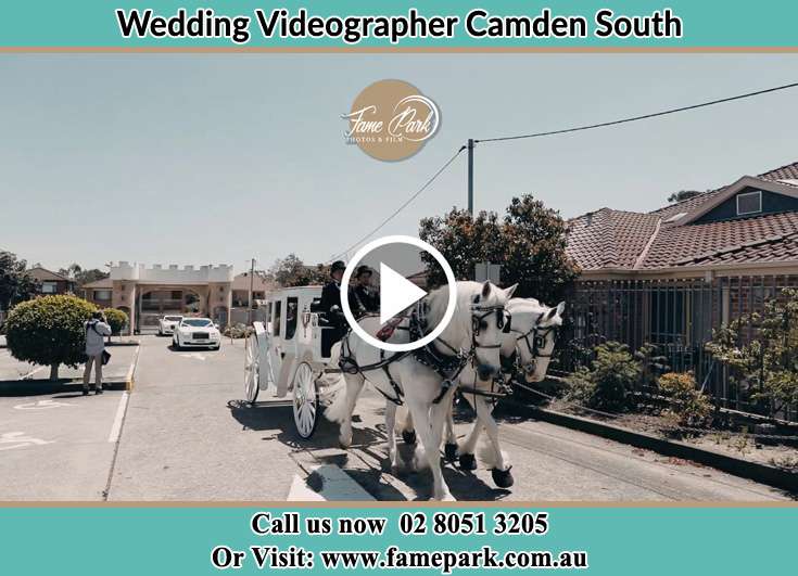 The wedding carriage Camden South NSW 2570