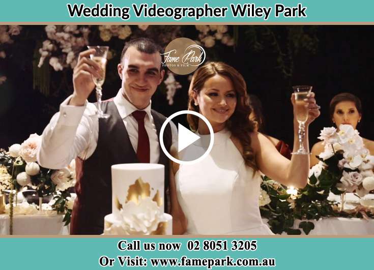 Bride and Groom making a toast at the reception Wiley Park NSW 2195